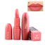 Matte Waterproof Velvet Pigments Lipstick