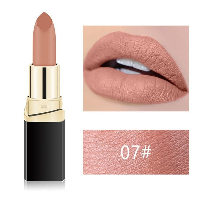 Matte Long Lasting Nude Lipstick Kit